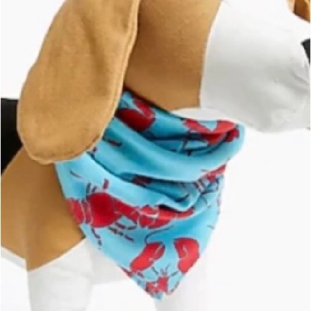 Dog Bandana Organic Bandana JCrew Crewmutts New Blue & Red Lobster Bandana